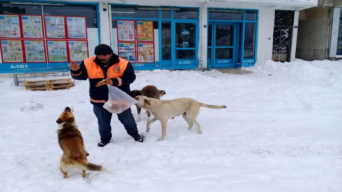 Akkuş Belediyesi Zorlu Kış Şartlarında Sokak Hayvanlarını Unutmadı