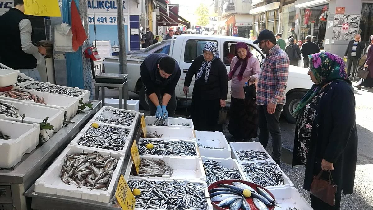 Hamsi 5 Liraya Düştü, Vatandaşlar Balıkçılara Akın Etti